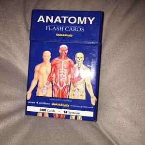 Anatomy Flashcards